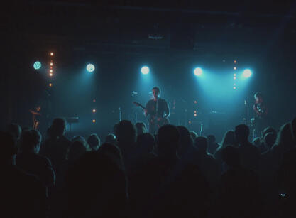 Dłonie - Zwierzę (live video)